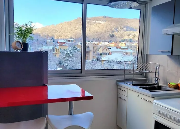 F2 Lumineux Avec Vue- Puy-de-dome A 10 Min - Parking Gratuit *