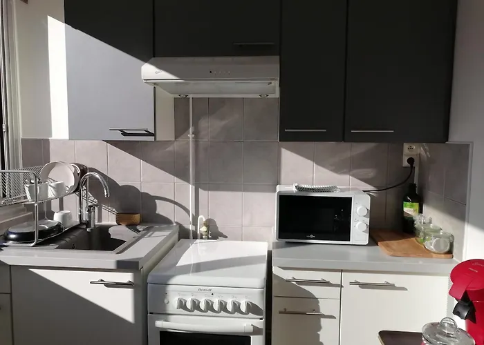 F2 Lumineux Avec Vue- Puy-de-dome A 10 Min - Parking Gratuit * Royat