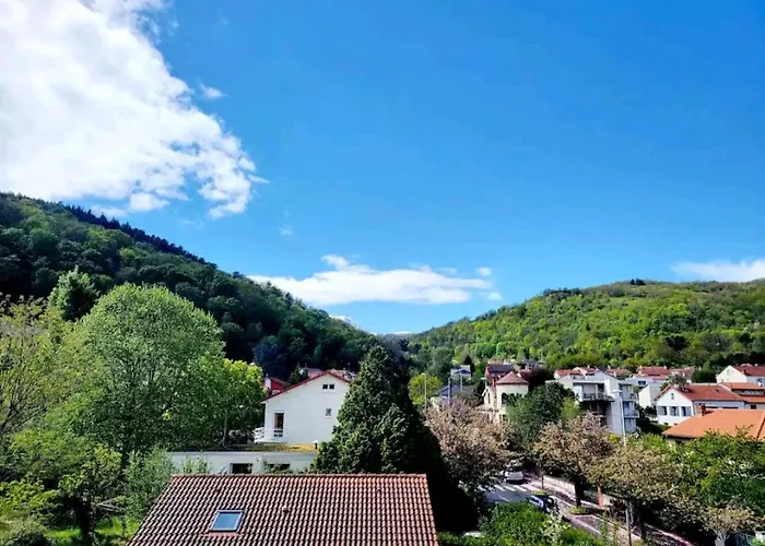 F2 Lumineux Avec Vue- Puy-de-dome A 10 Min - Parking Gratuit *