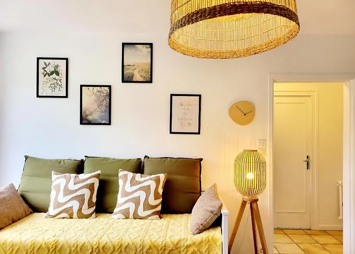 F2 Lumineux Avec Vue- Puy-de-dome A 10 Min - Parking Gratuit * Royat