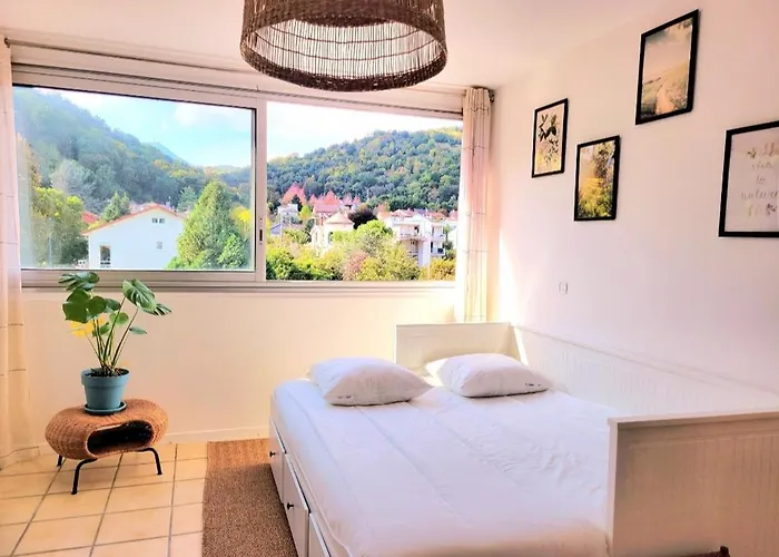 F2 Lumineux Avec Vue- Puy-de-dome A 10 Min - Parking Gratuit * Royat